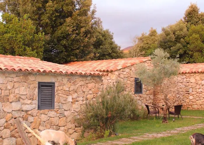 Bergerie Du Prunelli Bed & Breakfast Cauro