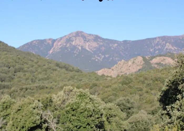 Bed & Breakfast Bergerie Du Prunelli 4*