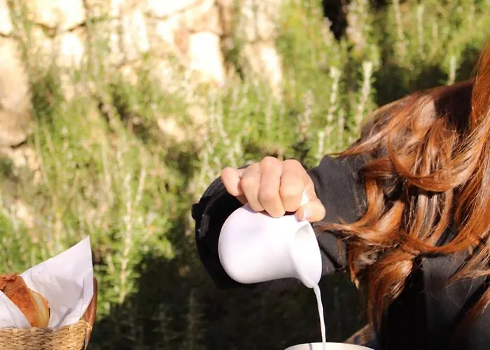 Bergerie Du Prunelli