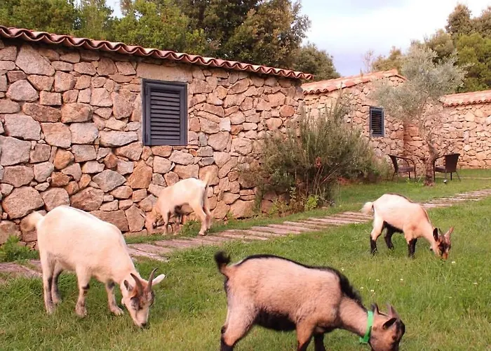 Bergerie Du Prunelli