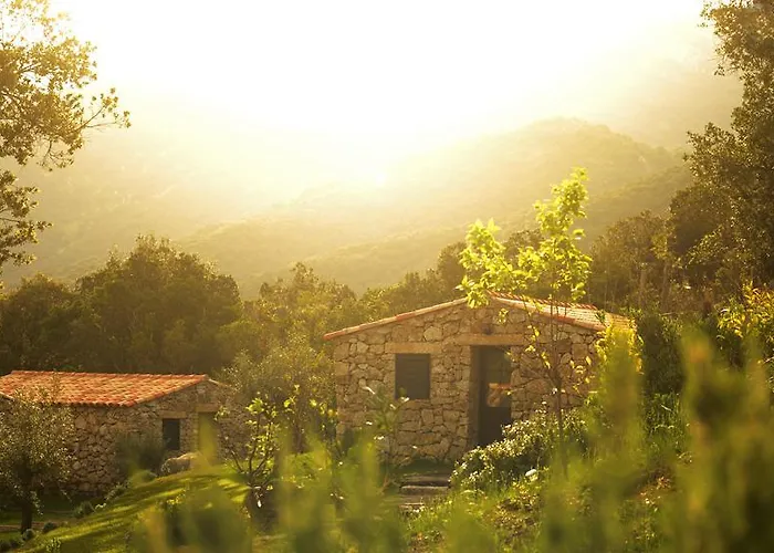 Bed & Breakfast Bergerie Du Prunelli