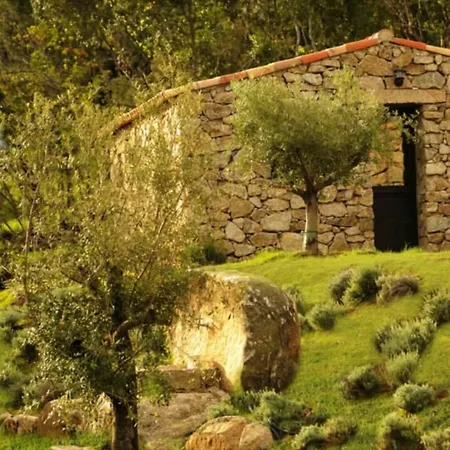 Bed & Breakfast Bergerie Du Prunelli