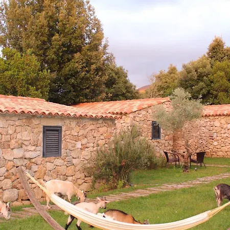 Bergerie Du Prunelli Bed & Breakfast Cauro