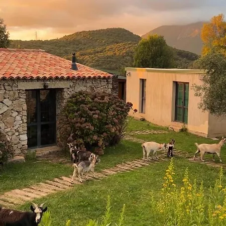 Bergerie Du Prunelli 4*