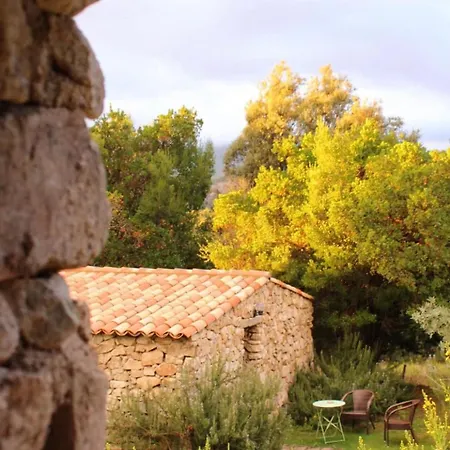 Bed & Breakfast Bergerie Du Prunelli Cauro