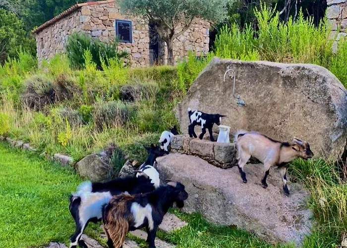 Bergerie Du Prunelli 4* Cauro