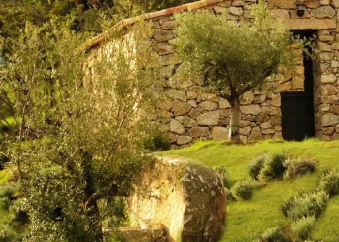 Bed & Breakfast Bergerie Du Prunelli