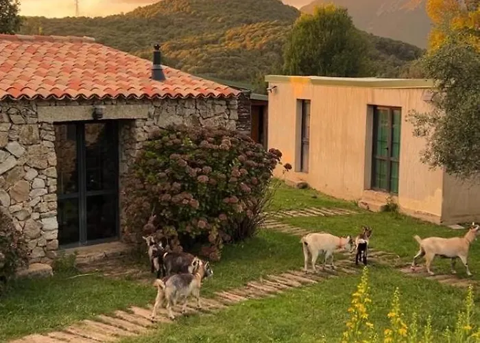 Bergerie Du Prunelli 4*