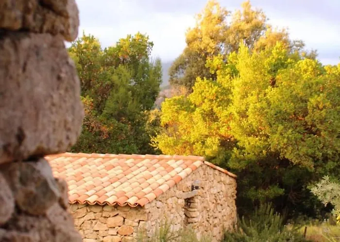 Bed & Breakfast Bergerie Du Prunelli Cauro