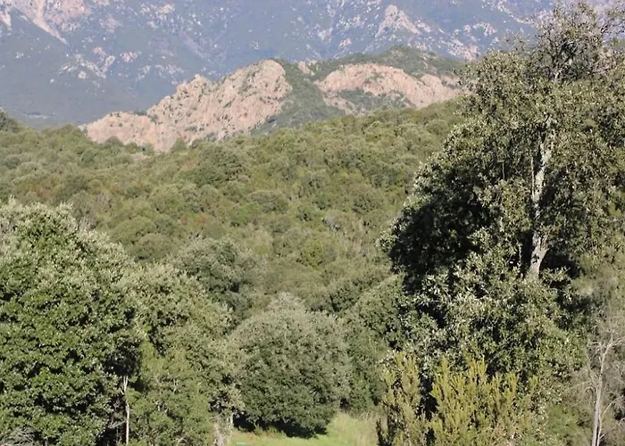 Bed & Breakfast Bergerie Du Prunelli Cauro